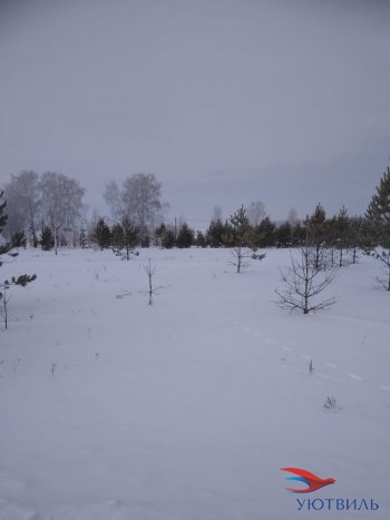 Земельный участок поселок Баженово в Судаке - sudak.yutvil.ru - фото 3