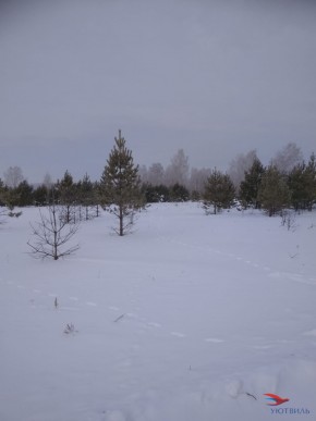 Баженово ул Южная д 7 в Судаке - sudak.yutvil.ru - фото 5