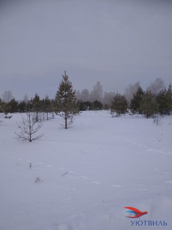 Земельный участок поселок Баженово в Судаке - sudak.yutvil.ru - фото 5