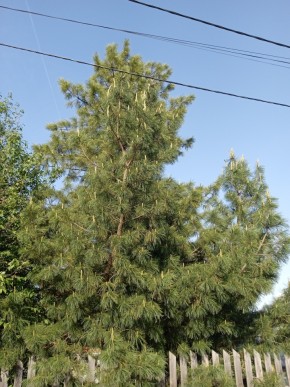 ул. Полынная,29 в Судаке - sudak.yutvil.ru - фото 18 ул. Полынная,29 в Судаке - sudak.yutvil.ru - фото 18